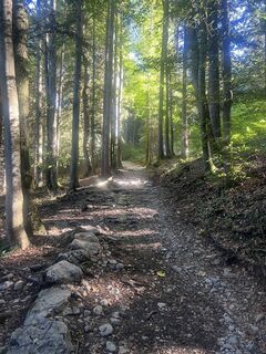 Fotografia z Alipali na trase