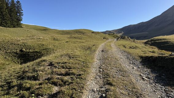 Zdjęcie z peter_oe wzdłuż trasy