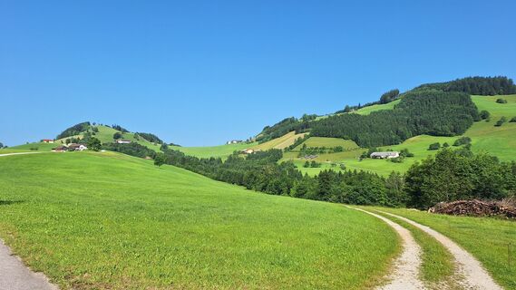 Fotografia z Gerhard Edermayer na trase