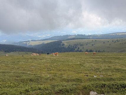 Foto von Hans Peter Gröchenig entlang der Tour