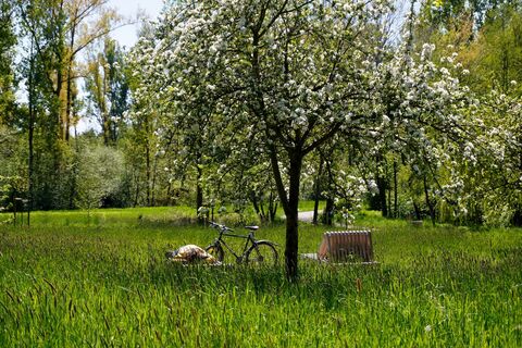 Reisegarten Stiftspark_Stadt Bassum.JPG