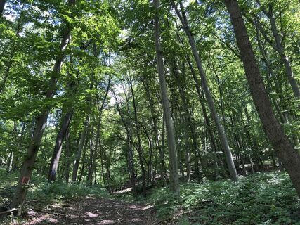 Photo de Suba Szilveszter le long du parcours