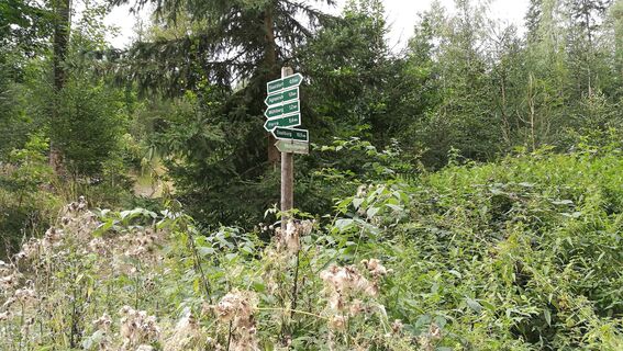 Von Saaldorf zum Marienstein