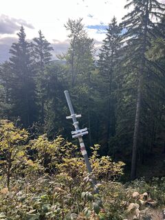 Foto von Markus Weiss Wien entlang der Tour