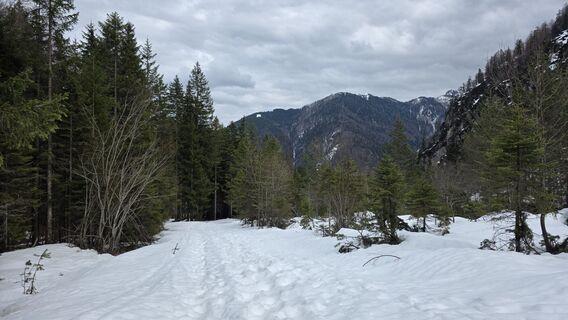 Foto von euterpe42 entlang der Tour