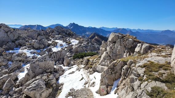 Foto från Juliane Jarke under resans gång