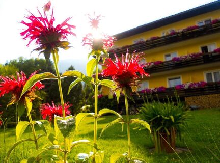 Frühstückspension Eigner