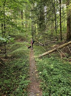 Fotografia z Robert Hofer na trase