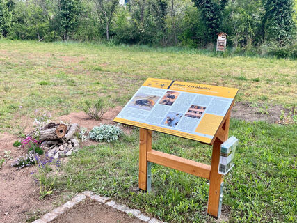 Insektenpfad - Station Bienen