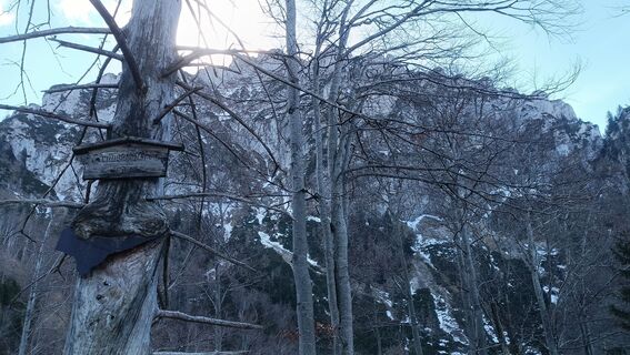 Fotografija s spletne strani Friederike Bergmeister na poti