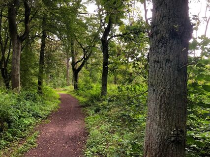 Wanderweg am Wildförstersee