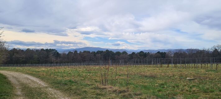 Fotografia z Alexandra Stani na trase