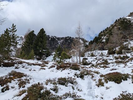 Fotografija s spletne strani Flure93 na poti