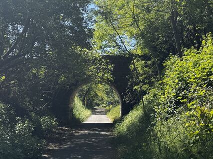 Fotografie z Friederike Steyrer na trase