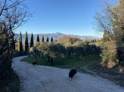 Fotografie de la Florian Gerl de-a lungul turului