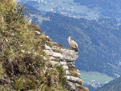 Photo de Niels Kooijman le long du parcours