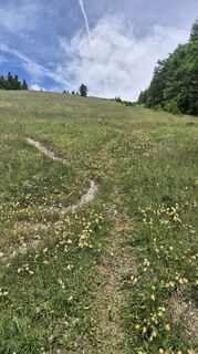 Foto von Claudia Maurer entlang der Tour