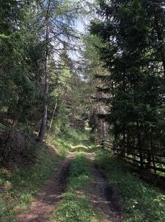 Foto de rgbkiller a lo largo del recorrido