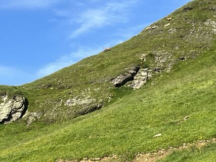 Photo de markus fugel le long du parcours