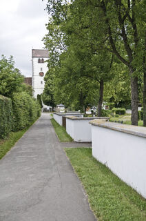 Auf dem Bodenseeradweg