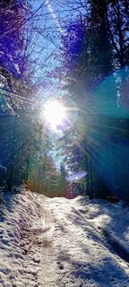 Foto von Harald Puschacher entlang der Tour