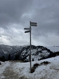 Zdjęcie z Veselina Petrova wzdłuż trasy