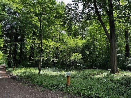 Baumlehrpfad Breisach 3