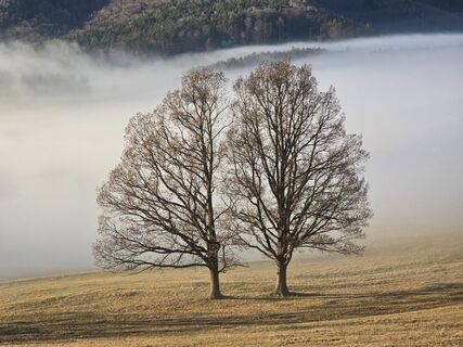 Fotografia z TwilightTea na trase