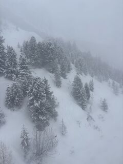 Zdjęcie z Peter Ninausz wzdłuż trasy