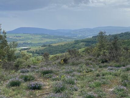 Foto de Ries Bode a lo largo del recorrido
