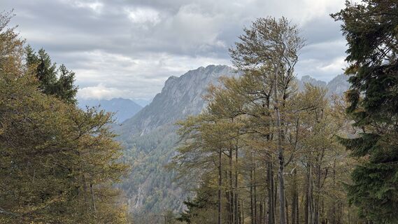 Steinbach am Ziehberg, Upper Austria/Austria