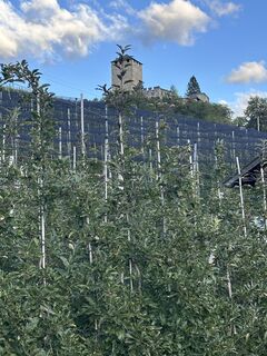 Photo de Cyrill Bischof le long du parcours