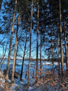 Fotografija s spletne strani Floppy 1 na poti