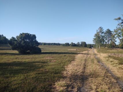 Fotografija s spletne strani Silke Lambrich na poti