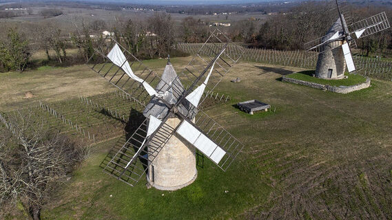 51915197541_faa3ef3efb_c