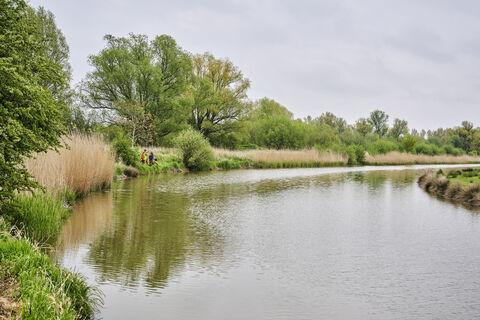 Haseldorf