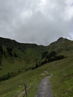 Foto von Tobias Kletecka entlang der Tour