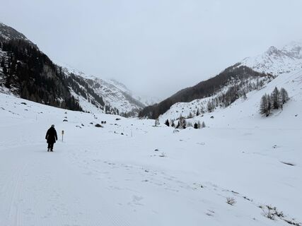 Foto fra Svensonalpin undervejs på turen