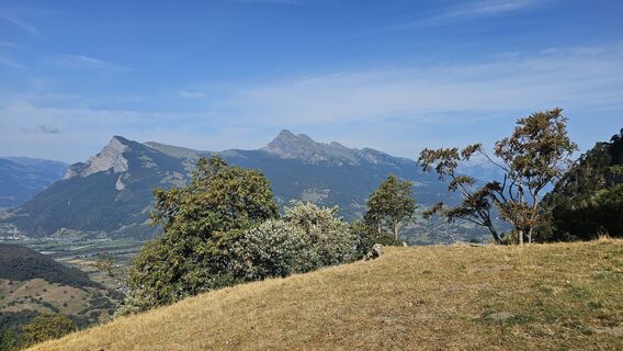 Fotografija s spletne strani Marlyse Leu na poti