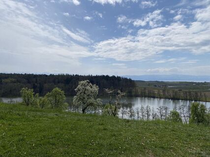 Photo de Lars Klein le long du parcours