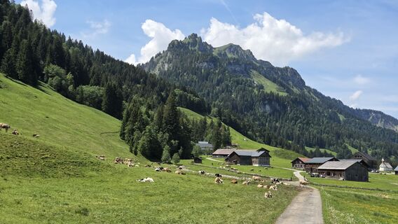 Foto von V Feurstein entlang der Tour