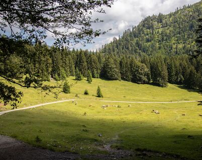 Weg durch´s "Himmerleich" am Kienberg