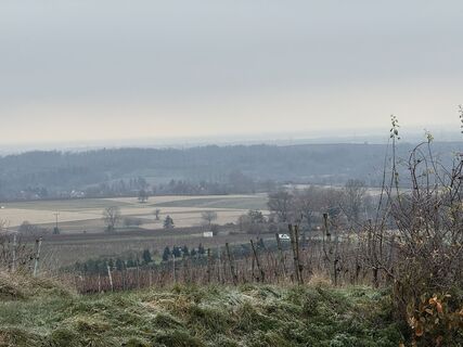 Fotografia z InesW na trase