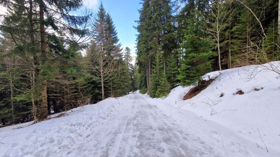 Foto von EP87 entlang der Tour