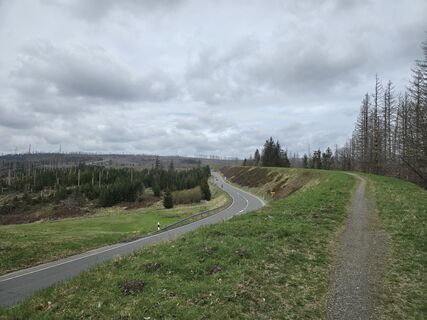 Photo de Martina Gerneck le long du parcours