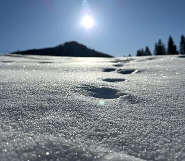 Foto von Natur_erleben_dg entlang der Tour