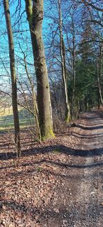 Foto von Eva Maria 7 entlang der Tour