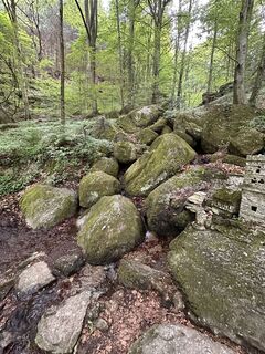 Photo de Babs Holz le long du parcours
