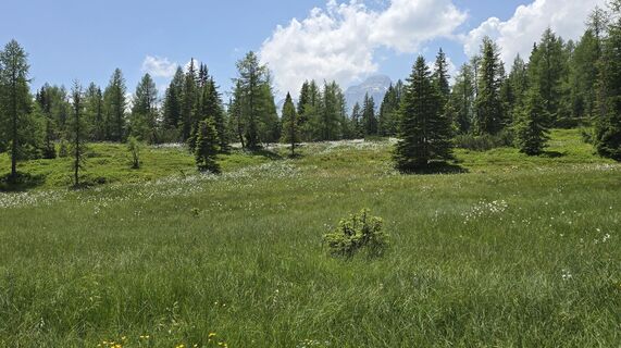 Fotografie de la ChrisWe de-a lungul turului