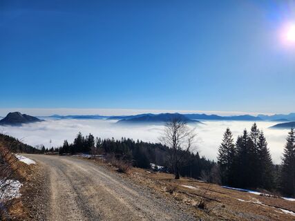Zdjęcie z Petra Riegler wzdłuż trasy